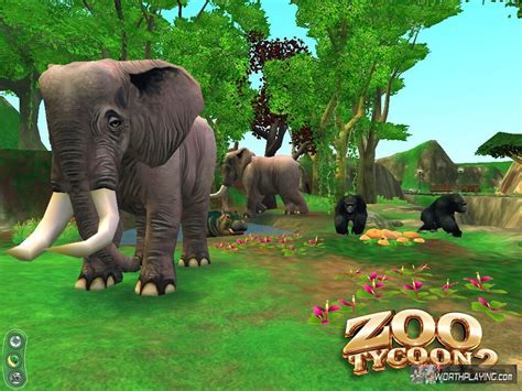  Zoo Tycoon 2: 從零開始打造夢幻動物園！